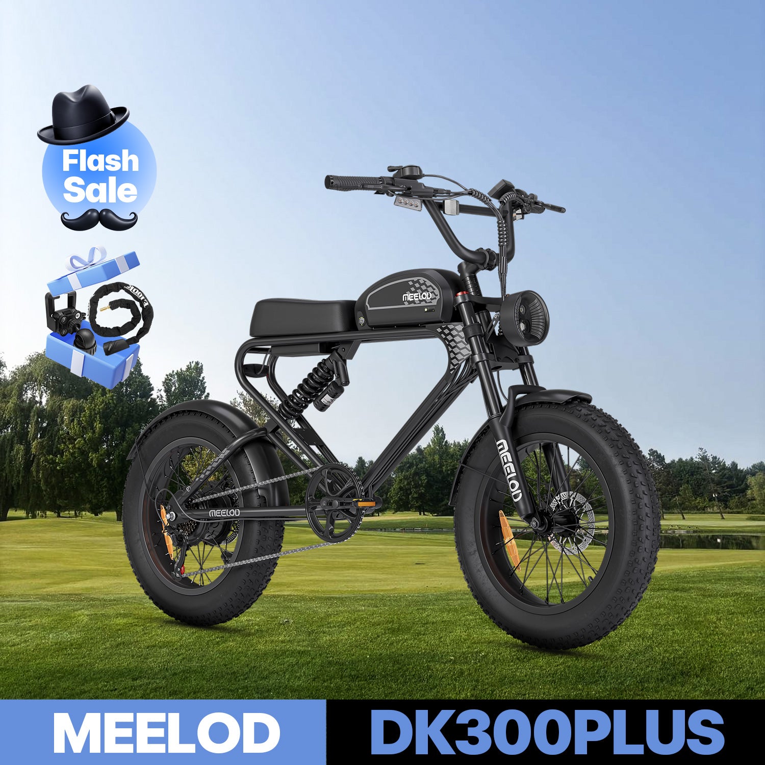 DK300PLUS
