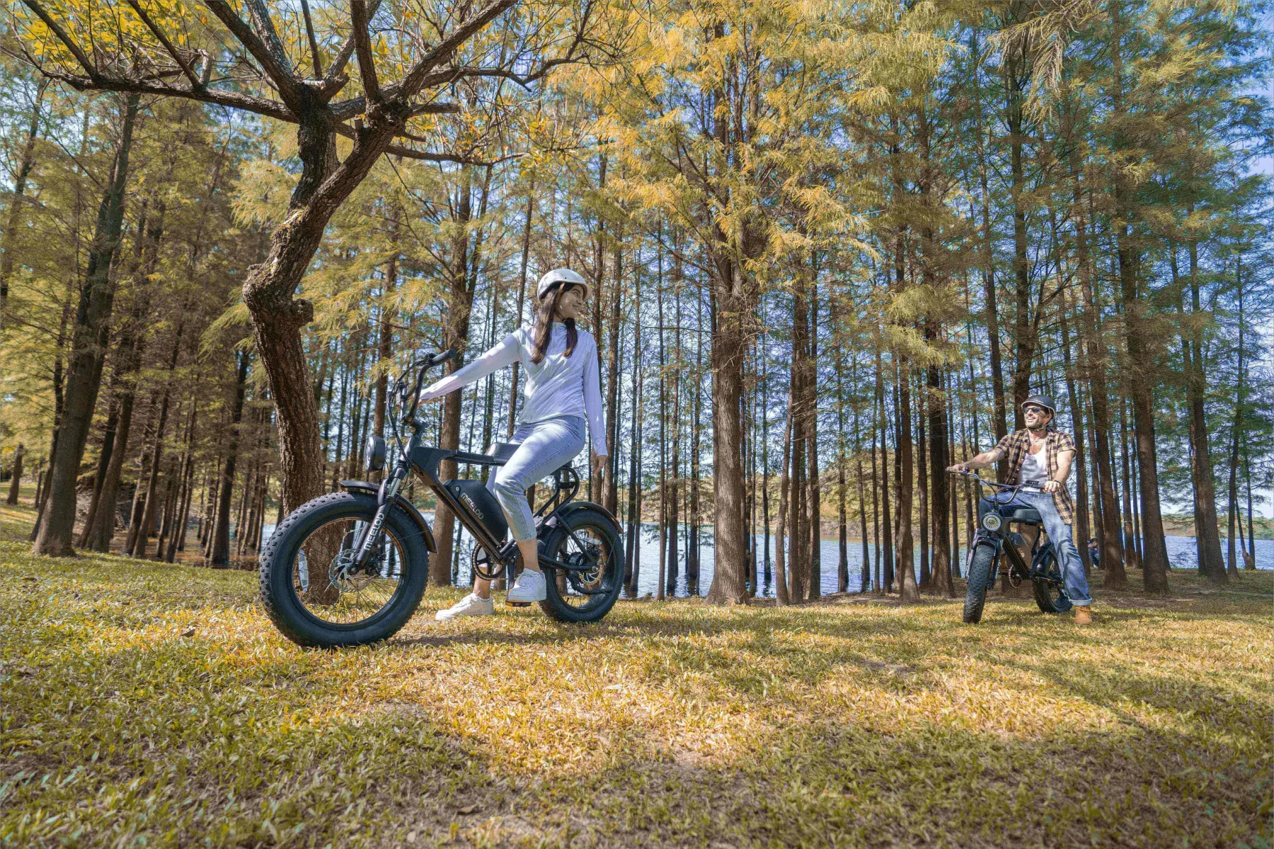 What-are-the-Pros-and-Cons-of-a-Moped-Style-Ebike MEELOD