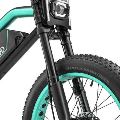 MEELOD Green XT600DL Fat Tire Detail View