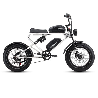 MEELOD White moped style ebike DK300PRO