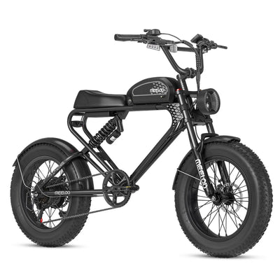 MEELOD fat tire ebike DK300PLUS