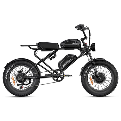 MEELOD long range ebike DK300MAX